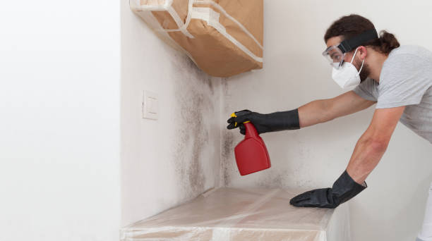 Professional Black Mold Remediation technician working in Jackson, MI
