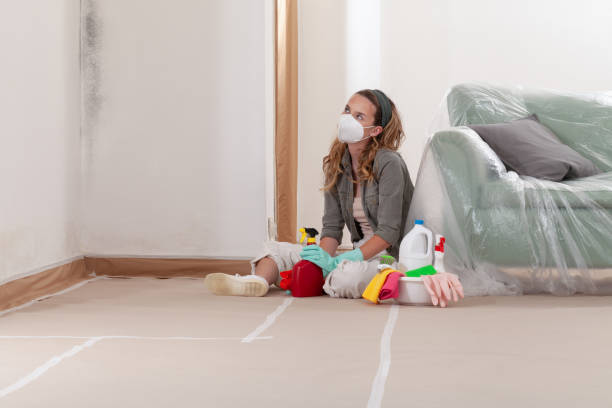 Reliable Black Mold Remediation contractor in Jackson, MI by Car Mold Remediation